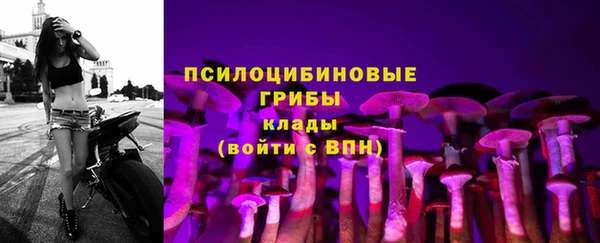 ALPHA PVP Алзамай