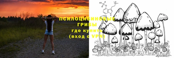 ешки Абдулино